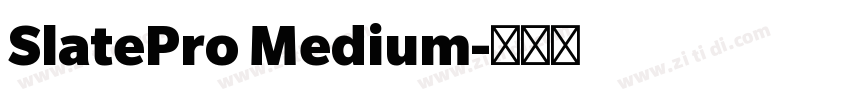 SlatePro Medium字体转换